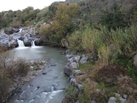 cantara gurne23122011 094